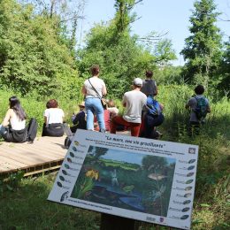 On a testé… une sortie ENS avec un guide nature