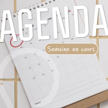 Pour les pros : agenda de la semaine