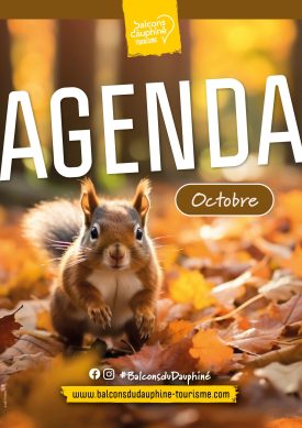 Agenda des animations du mois d’octobre