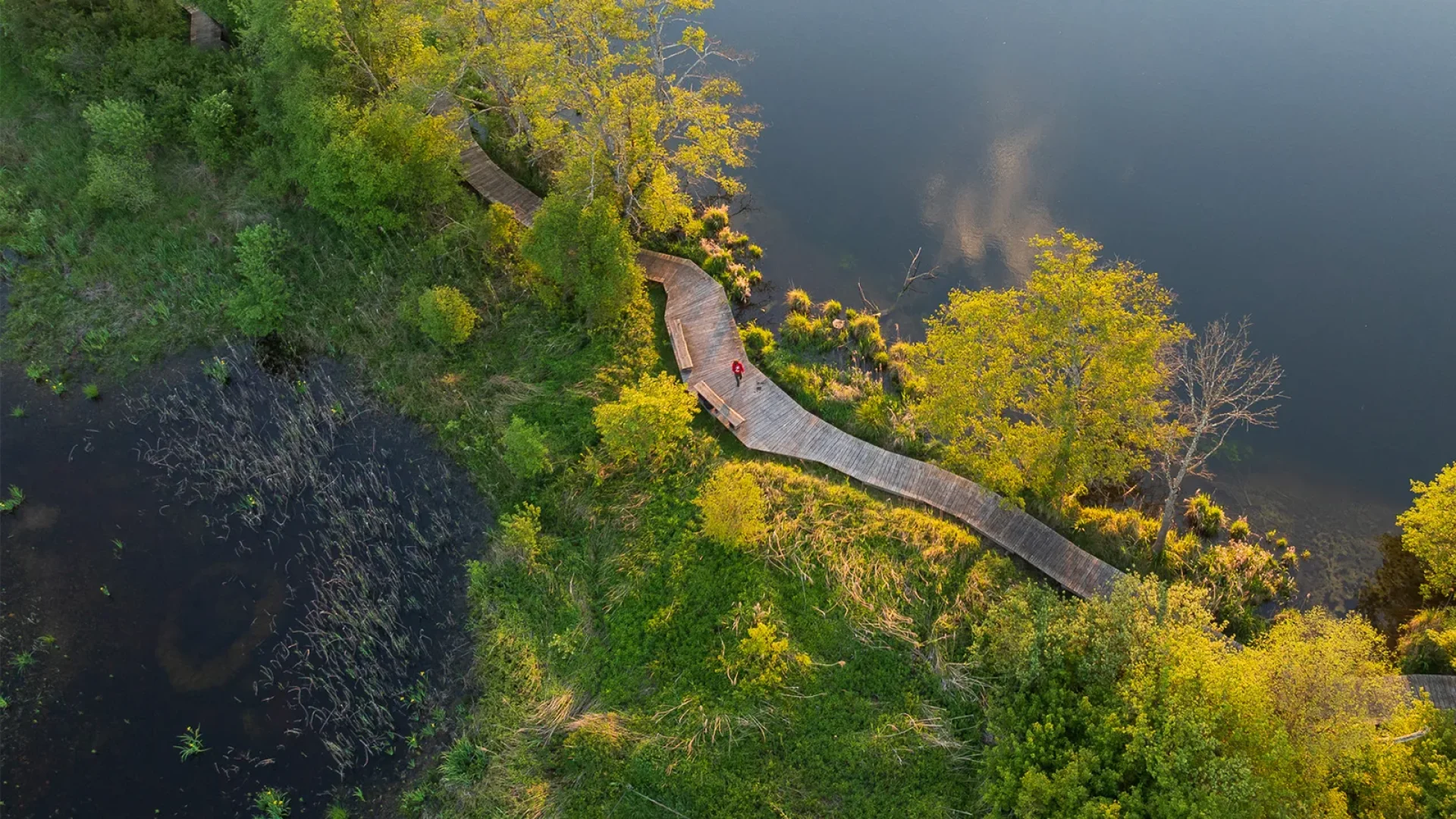 Balade sur l'Espace Naturel Sensible du lac de Save à Arandon-Passins, aux Balcons du Dauphiné en Isère