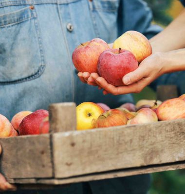 Producteurs locaux aux Balcons du Dauphiné - La pomme du Bouchage